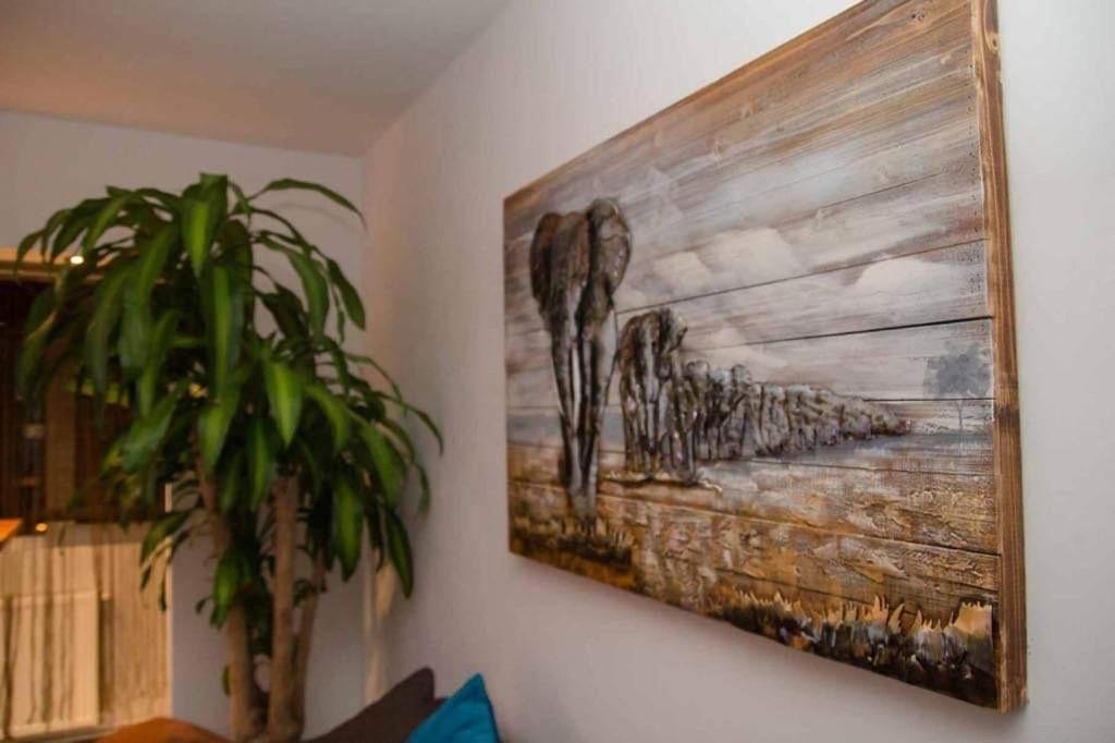 Colonial Touch Apartament Braşov Buitenkant foto